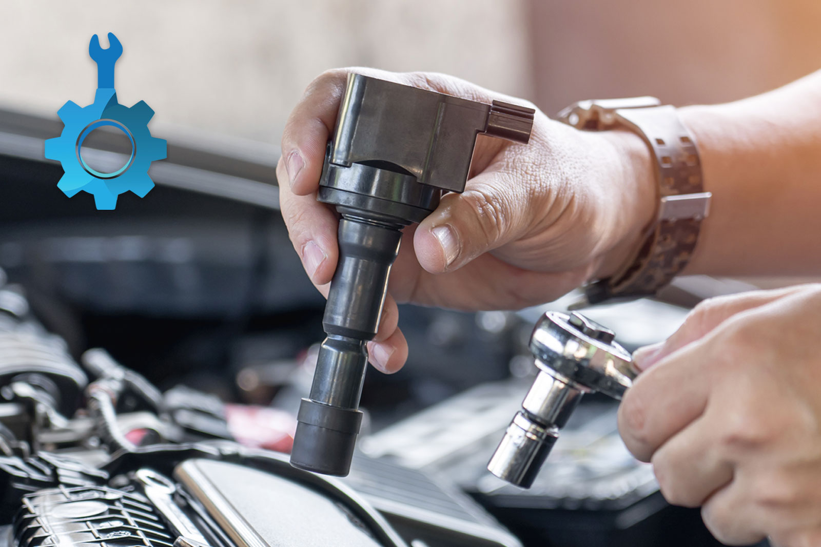 بررسی سلامت کوئل استوک