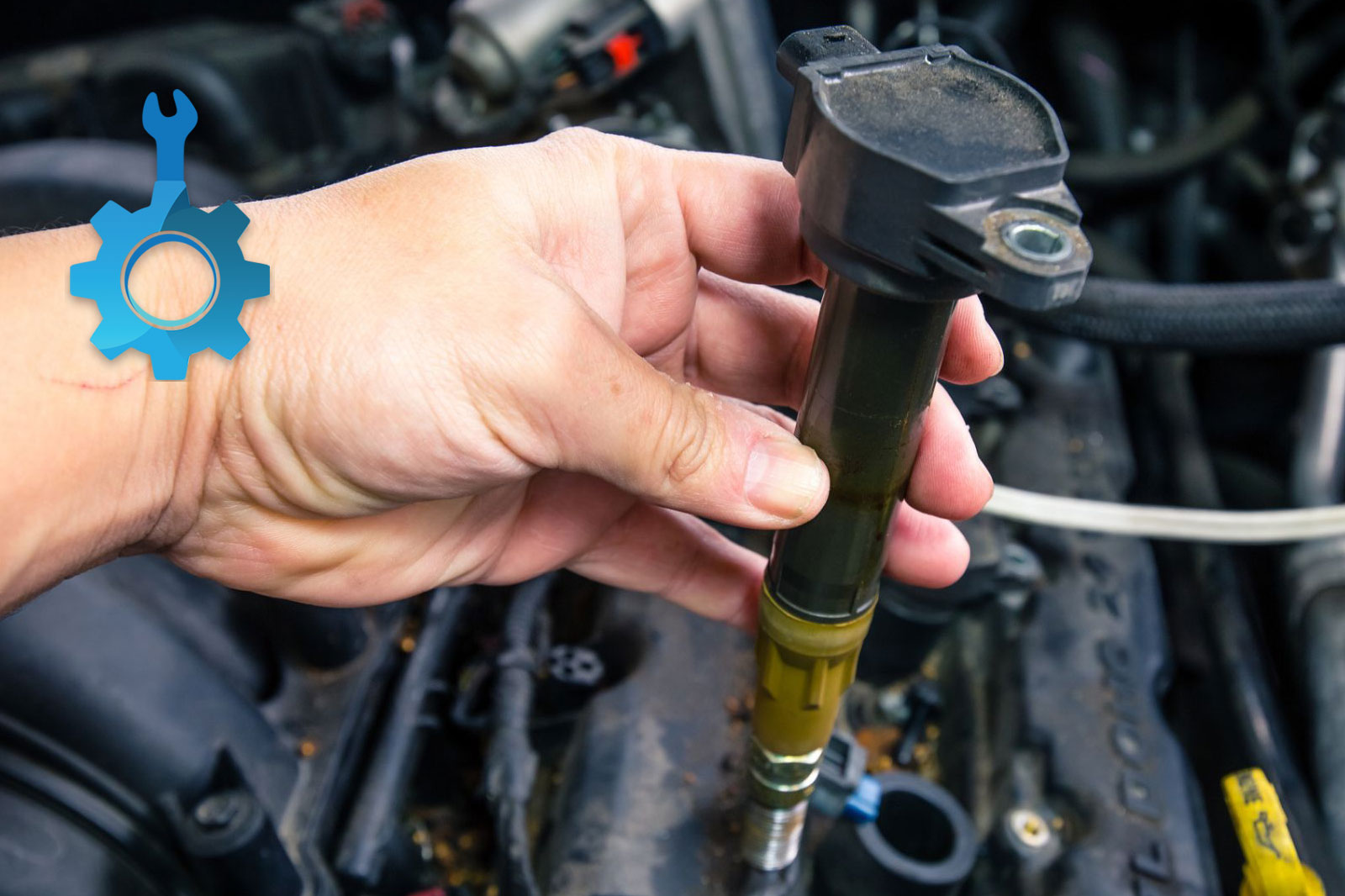 بررسی سلامت کوئل