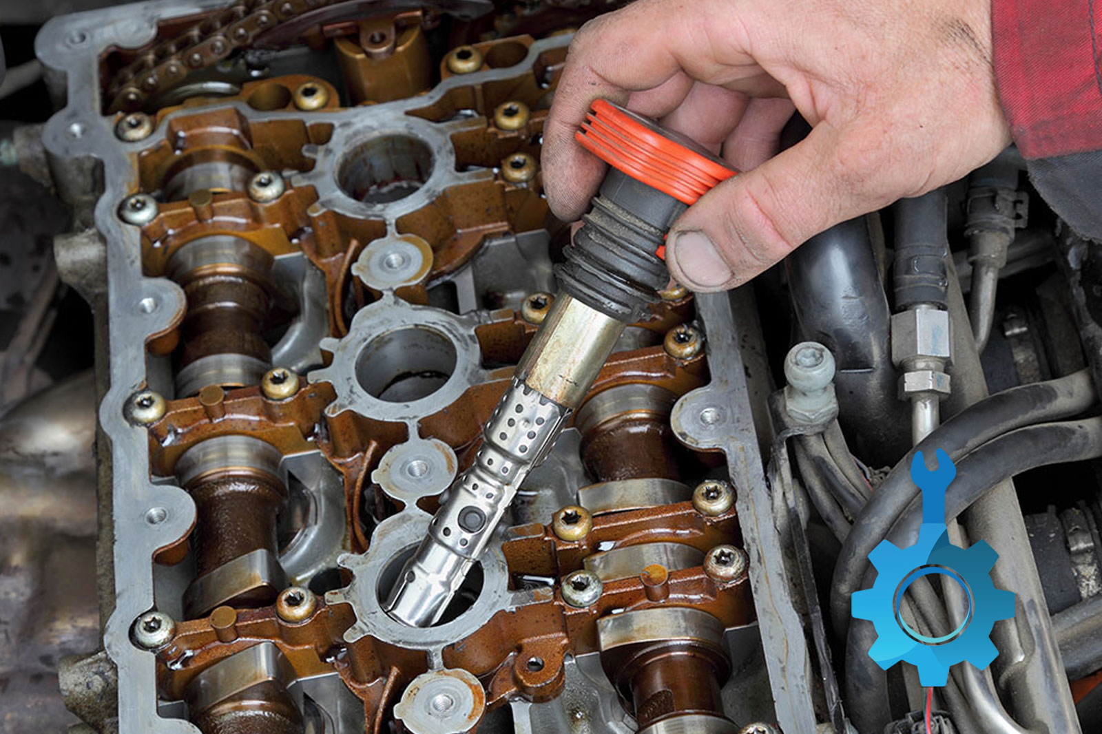 تست سلامت کوئل استوک