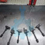 کوئل استوک ماکسیما